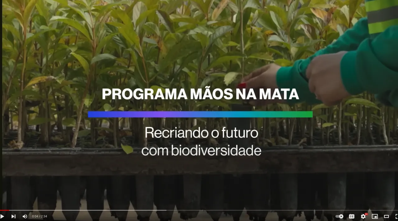 Programa Mãos na Mata